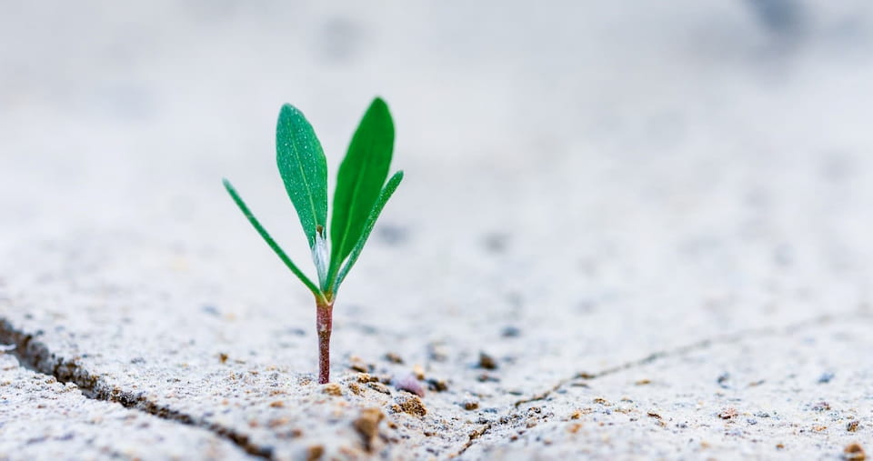 Sprecherin Erklärfilm und Imagefilm